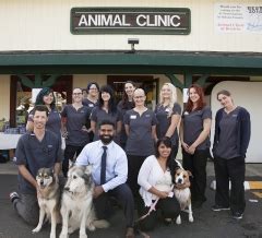 Serving the Martinez Area. . Animal clinic of benicia